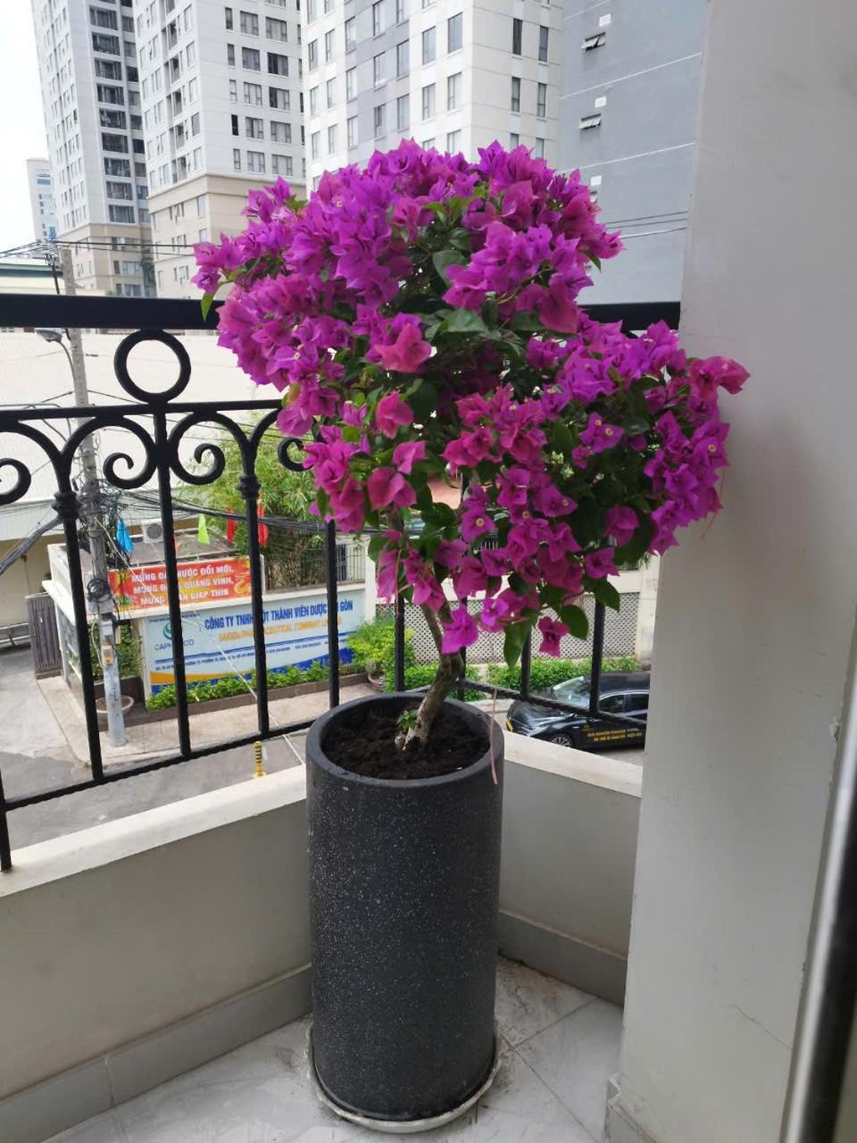 7 Apartment Cidade de Ho Chi Minh Exterior foto